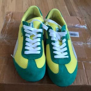 Brazil Pumas